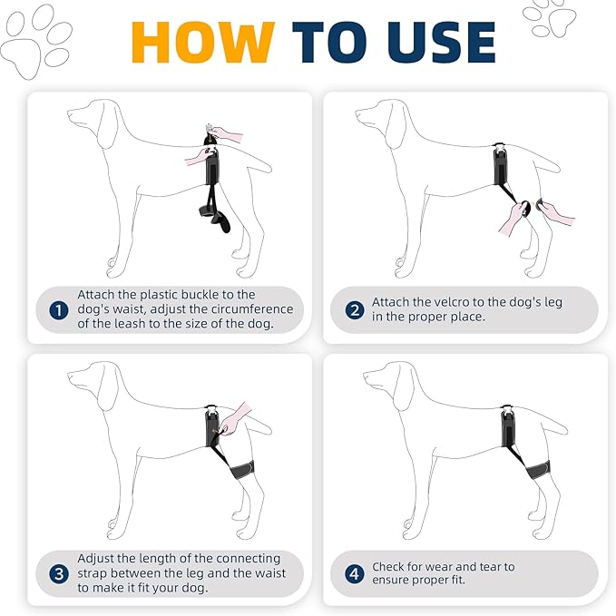 Dog Hip Brace – Support Harness for Hip Dysplasia, Joint Pain Relief, Prevents Hip Joint Issues, Orthopedic Support for Dogs(XL)