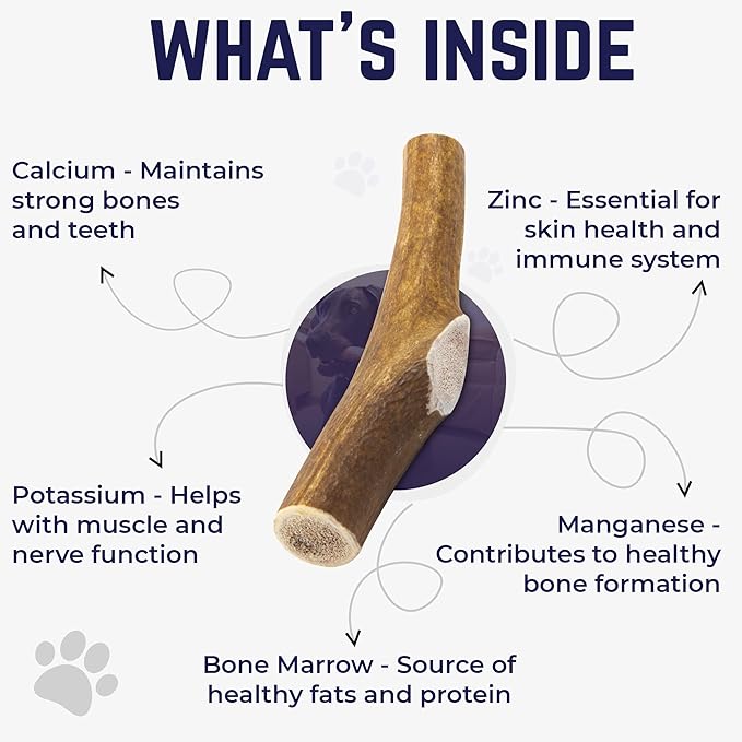 Devil Dog Pet Co - Elk Antler for Dogs Small 2 Pack - Long Lasting Dog Chew for Aggressive Chewers & Toy Breeds - Naturally Shed Grade A Rocky Mountain Elk, Anxiety & Boredom Relief (Up to 20 lbs)