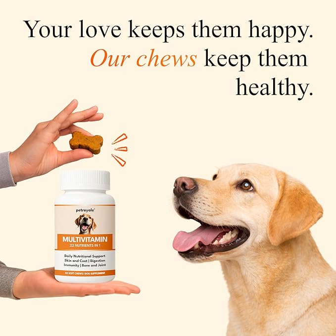 Multivitamin Chews for Dogs - Joint Support + Digestive Enzymes & Probiotics - Dog Multivitamins Chewable - Puppy & Senior Dog Vitamins - Daily Dog Multivitamin (50 Soft Chews)