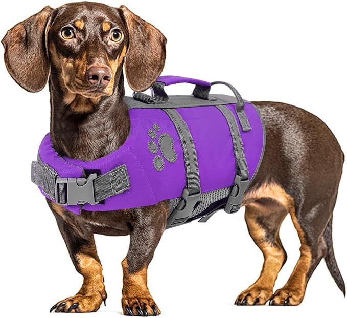 Queenmore Dog Life Jacket Medium, Dog Life Vest for Swimming, Dog Life Vest for Medium Dogs, Floating Dog Vests for Boating Kayaking, Pet Life Jackets for Dogs with Safety Handle Hook, Puppy Swim Vest