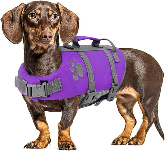 Queenmore Dog Life Jacket Medium, Dog Life Vest for Swimming, Dog Life Vest for Medium Dogs, Floating Dog Vests for Boating Kayaking, Pet Life Jackets for Dogs with Safety Handle Hook, Puppy Swim Vest