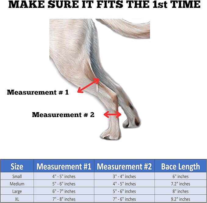 Doggie Stylz Dog Leg Braces for Back Leg Adjustable Dog Hock Brace for ACL Tear Recovery Arthritis Mobility Support Premium Leg Brace for Dogs Back Leg Dog Knee Braces for Back Leg Comfort Stability