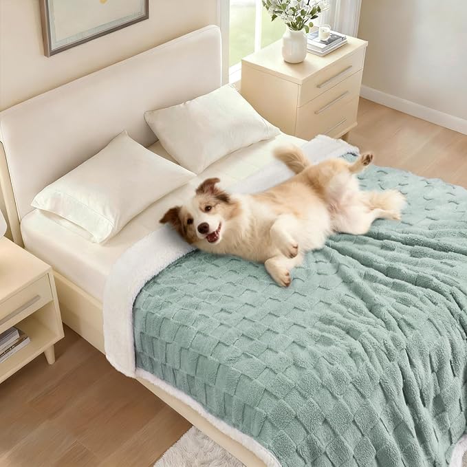 Luciphia Waterproof Dog Blanket for Small Dogs Washable Soft Sherpa Fleece Cat Blankets with 3D Jacquard Cozy Calming Reversible Couch Protector Furniture Protection for Pet, Green White, 40x28 inch