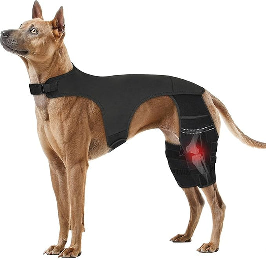 Adjustable Dog Knee Brace for ACL Tear and Arthritis Recovery - Dual Hind Legs Support with Harness Connection - Orthopedic Leg Wrap for Joint Stability and Pain Relief in Small to Large Dogs (L)