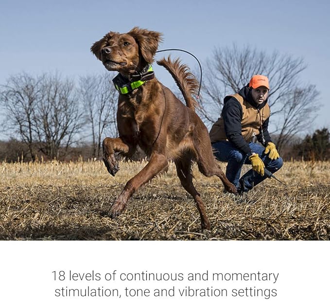 Garmin Pro 550 Plus, Dog Training System with Simple GPS Tracking, Collar and Handheld
