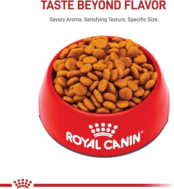 Royal Canin Size Health Nutrition Medium Adult Dry Dog Food, 4 lb Bag