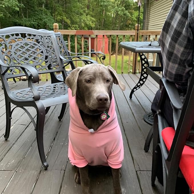 EXPAWLORER Princess Dog Hoodie-Soft Dog Sweater Calming Fleece Sweatshirt Cold Weather Pet Clothes,Pitbull Clothes Outfits,Coat Apparel for Puppy,Cat, Small Medium Large Dogs