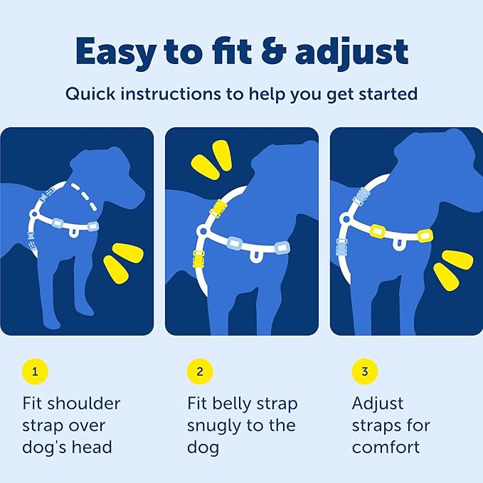 PetSafe Easy Walk Harness for Dogs - Pull-Free Walks - Patented Martingale Loop Design - Front Chest Leash Attachment - Adjustable Comfort Straps - Breathable Harness Design - Large, Black/Silver