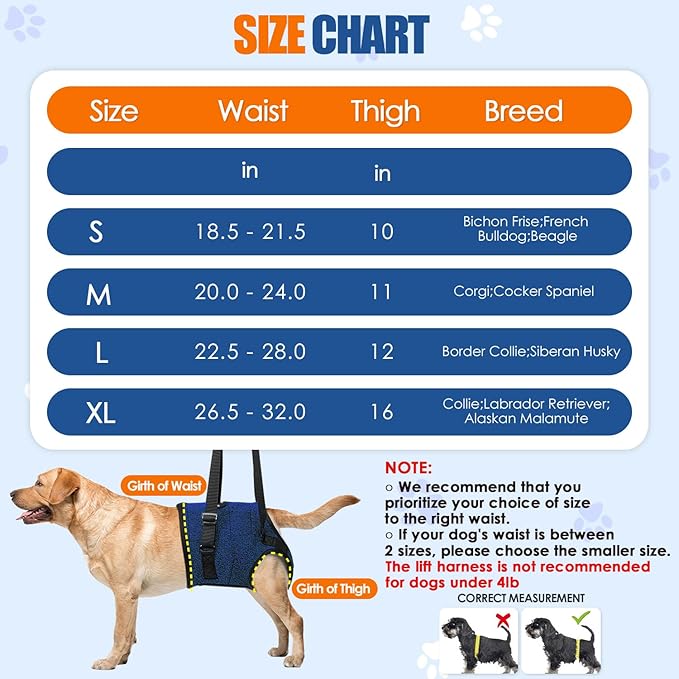 SlowTon Dog Lift Harness - Adjustable Dog Sling for Medium Large Dogs, Hind Leg Support to Help Rehabilitate, Soft Padded Dog Support Harness for Elderly, Injured, Arthritic, Disabled Dogs(BL,S)