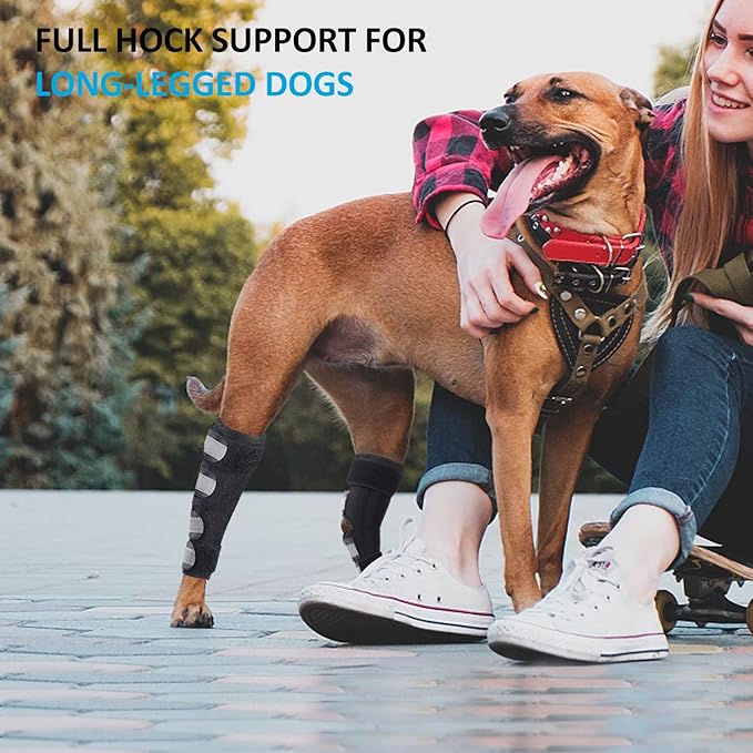 Dog Leg Brace for Back Leg, Canine Hock Brace for Rear Legs with Dual Metal Strips, Joint Warps Strong Support Help for Hind Leg Injuries Sprains Arthritis Torn ACL(1Pair)