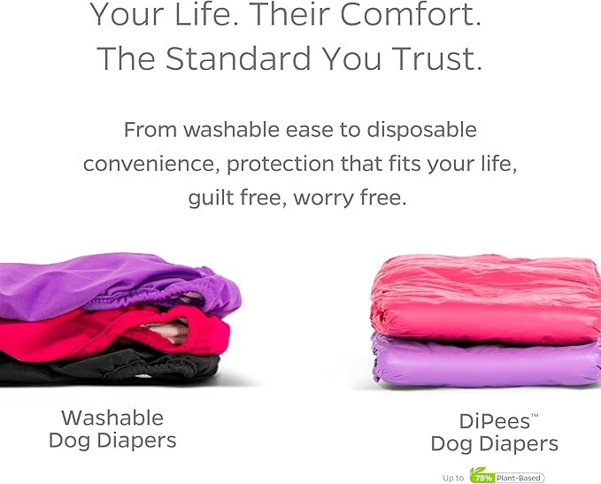 Pet Parents® Washable Dog Diapers (3pack) + Extendrs® of Durable Doggie Diapers, Premium Dog Diapers Female & Male (Medium, Oxford)