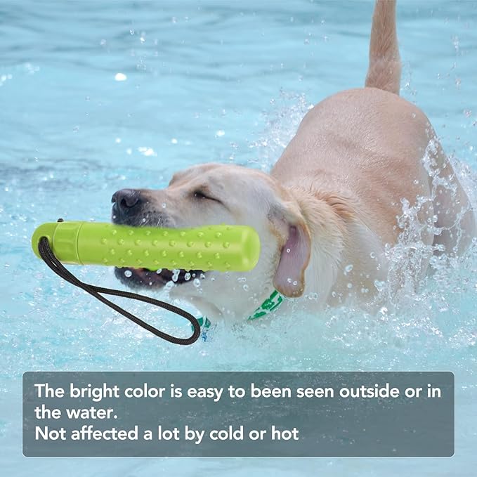 BINGPET Dog Float Bumper Toy 2 Pack,9.3 Inch Detachable Treat Dispensing Puzzle Toys,Training Dummy Retrieving Bumpers Summer Pool Toy Tug Game,Interactive Toys for Medium Large Dogs(Red & Green)