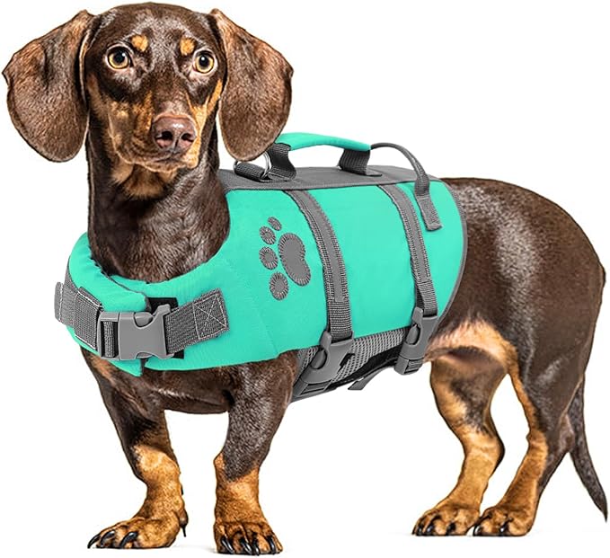 Queenmore Dog Life Jackets for Medium Dogs, Dog Life Vest for Swimming with Chin Support, Pet Floating Vests for Boating Kayaking, Adjustable PFD with Rescue Handle, Leash Hook & Reflective Stripes