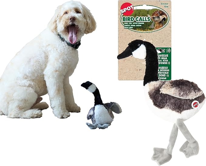 SPOT Bird Calls Plush Dog Toy with Realistic Bird Sound – 12" Sound Chip Toy for Dogs, One of Three Assorted Styles, Engaging Indoor Play for Small and Medium Breeds