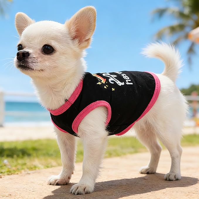 4 Pack Dog Shirts for Small Dogs Spring Summer Printed Puppy Clothes Cute Pet T Shirts Dog Clothes for Small Dogs Cats Girl (Grey+Pink+Purple,Black, XS)
