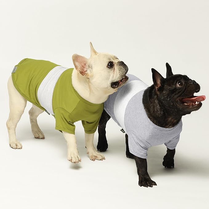 Fitwarm 3 Pack Color Block Striped Dog Shirt, Summer Dog Clothes for Small Dogs, Breathable Lightweight Pet Tshirt with Sleeves, Cat Outfit, Oliver Green, Grey, Black, Large