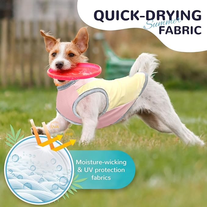 Dog Cooling Vest with D-Ring Dog Tshirt Sun Protection Small Puppy Clothes for Girls Boys Stretchy Shirts for Dogs Lightweight Breathable Shirt French Bulldog Frenchie Dachshund Clothes