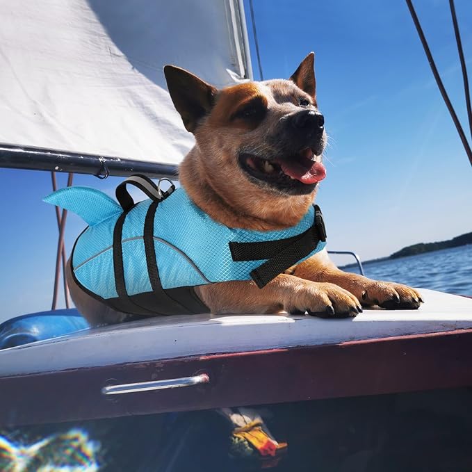 Queenmore Cat Life Jacket, XXS Extra Small Dog Life Vest, Puppy Life Vest for Swimming, Small Dog Vests for Boating, Lightweight High-Vis Water Floating Vest with Rescue Handle/Leash Hook