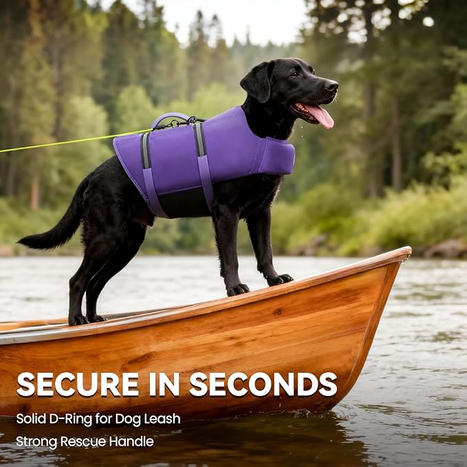 VIVAGLORY Rip Stop Dog Life Vest, Swimming Vest with Handle, Buoyancy for Doggy Puppy, Dog Life Jacket for Swimming & Boating, M, Purple