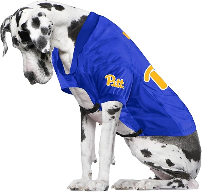 Littlearth Pittsburgh Panthers NCAA Stretch Pet Jersey