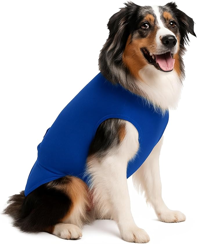 SurgiSnuggly Dog Suspenders for Diapers Female OR Male Disposable Dogggie Diapers Keeper It's A Dog Diaper Holder- Wrap Around Legs for Superior Fit L Blue