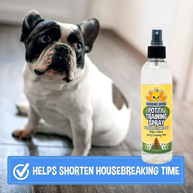 Bodhi Dog Potty Training Spray - Puppy & Dog Training Aid for Indoor & Outdoor Attractant Spray Use - Encourages Proper Dog Pee Here Habits - Safe for Pets & Home - Made in The USA (8 Fl Oz)