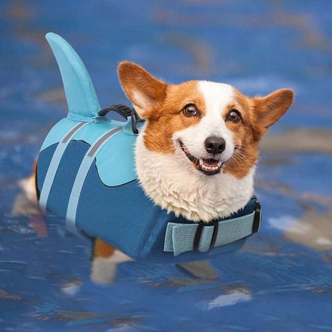 Queenmore Dog Life Jacket High Flotation, Reflective Dog Life Vest for Swimming, Adjustable Dogs Life Preserver Rescue Handle Spring Summer Pool for Small, Medium, Large Dogs (Ocean Blue,XL)