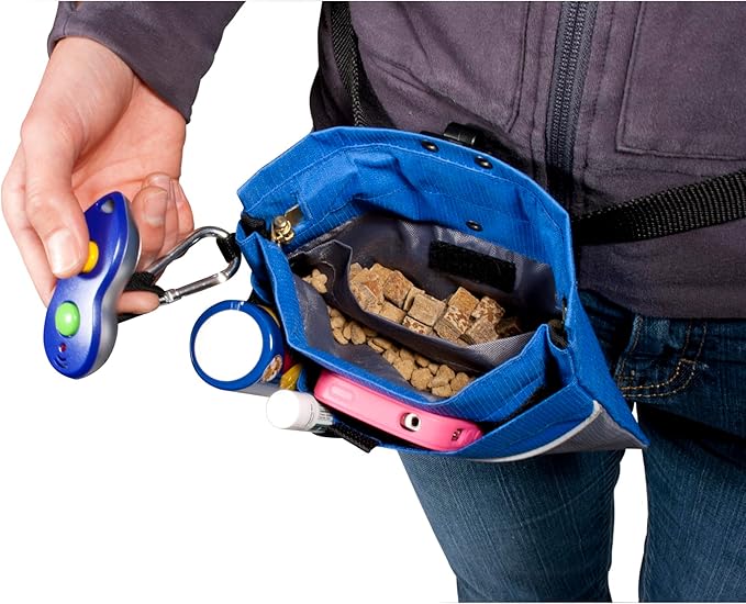 PetSafe Mini Treat Pouch - Easy Access Waterproof Treat Pouch for Daily Use - Convenient Phone & Keys Carry with Dual Inner Pocket & Front Storage Pocket - Adjustable Fit - Mini - Black