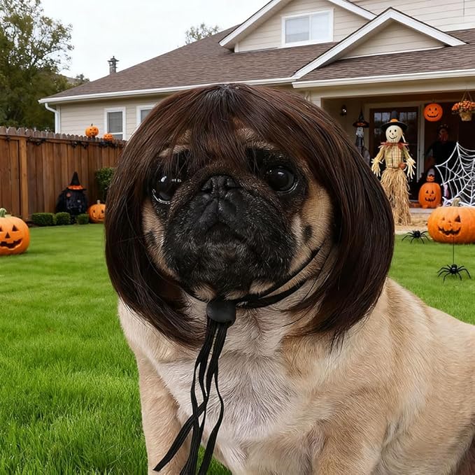 Funny Dog Cat Cosplay Wig,Pet Wigs for Small Medium Large Dogs with Adjustable Elastic Bands,Trimmable Pet Costume Cat Cosplay Decoration for Halloween,Christmas, Parties