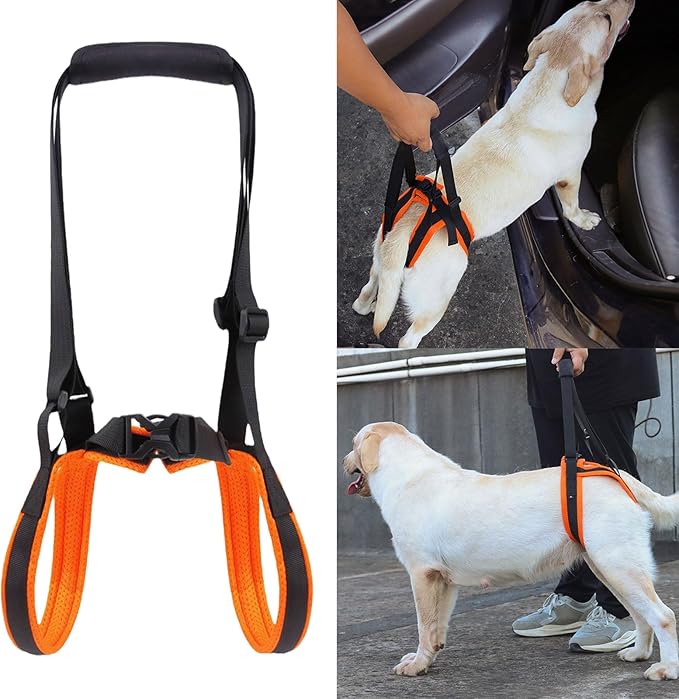 Rear Leg Care Pet Tractions Auxiliary Belt Rehabilitation Exercise Balances Harness for Leg Disabled Elderly Dog Lift for Weak Legs Small Lift for Weak Legs Full Body Lifting & Flexibility Aid