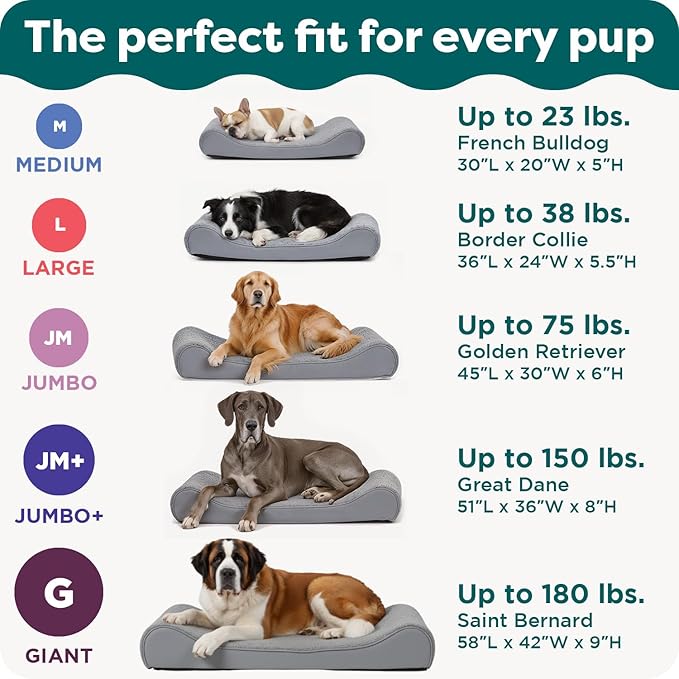 Furhaven Orthopedic Dog Bed for Medium/Small Dogs w/ Removable Washable Cover, For Dogs Up to 23 lbs - Ultra Plush Faux Fur & Suede Luxe Lounger Contour Mattress - Chocolate, Medium
