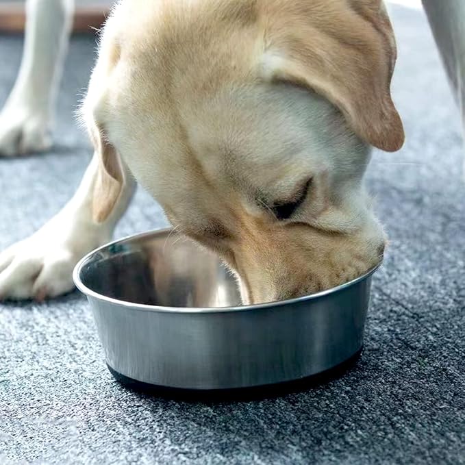 Deep Stainless Steel Non-Skid Dog and Food Bowls, Each Holds Up to 16 Cups, Set of 2 Packs(10.2 x 3.2 Inches)