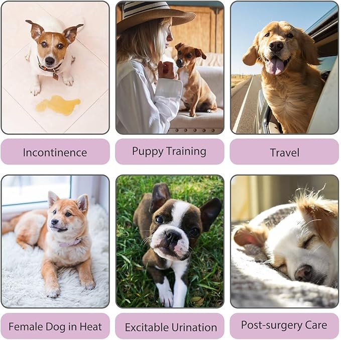 Paw Legend Washable Reusable Female Dog Period Diapers for Heat Doggie Puppy Diapers for Female Dogs (3 Pack, Large)