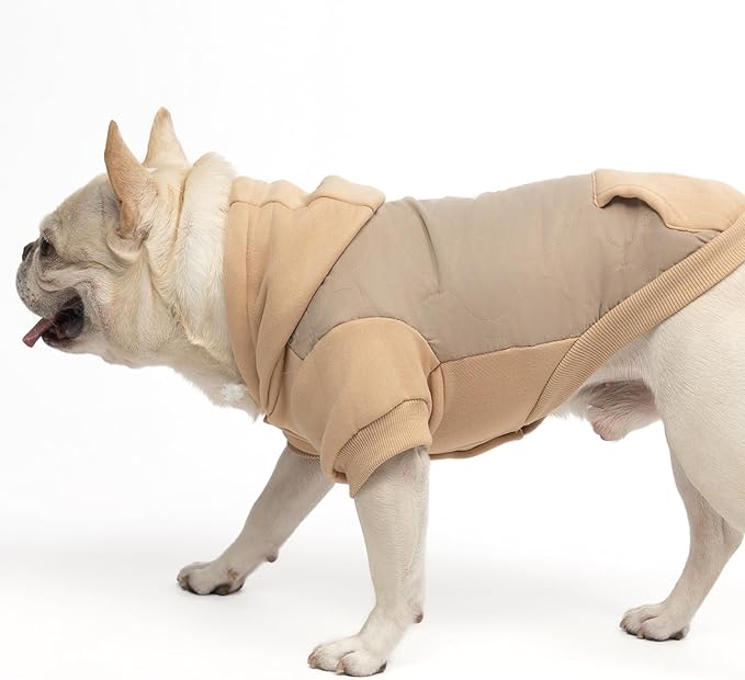 KOOLTAIL Warm Dog Winter Coat for Small Dogs, Waterproof Puppy Jacket with Leash Hole, Cold Weather Pet Vest for Winter, Soft Pet Hoodie Sweater Sweatshirt Clothes for Puppy Cats Girls Boys Beige M