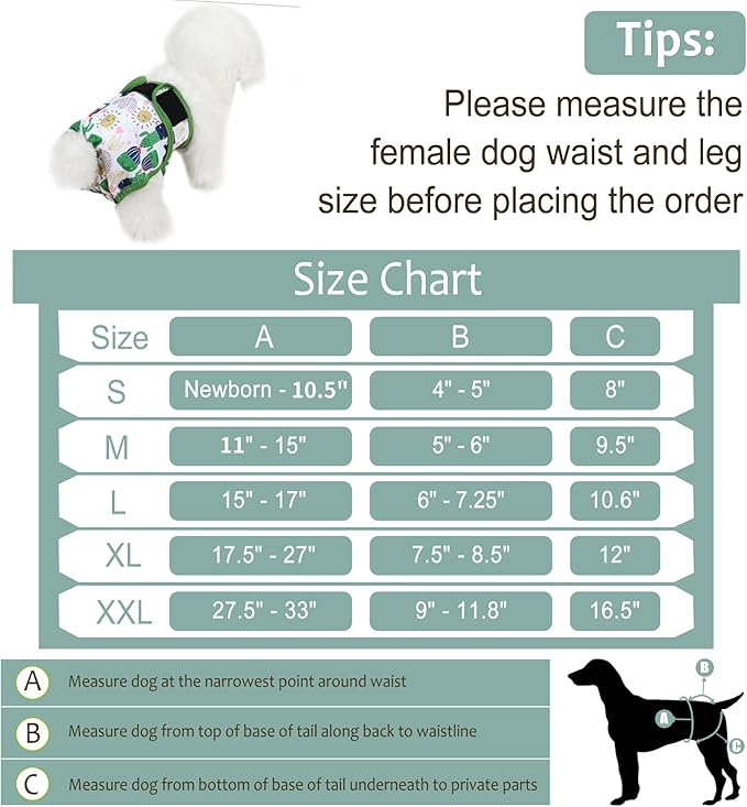 Washable Female Dog Diapers - Premium Reusable Diapers for Doggie in Heat - Highly Absorbent Dog Diapers Female for Pet Incontinence with Adjustable Snaps (Cactus, XXL)