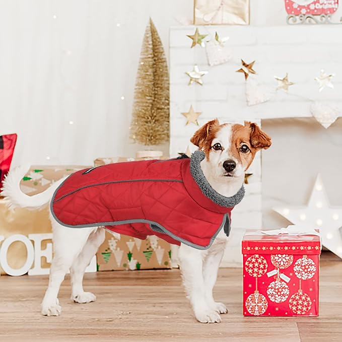 Fragralley Dog Coat Large, Waterproof Dog Jacket with Warm Fleece Lining, Adjustable Reflective Dogs Winter Coat, Turtleneck Pet Coats for Cold Weather (Red XXL)