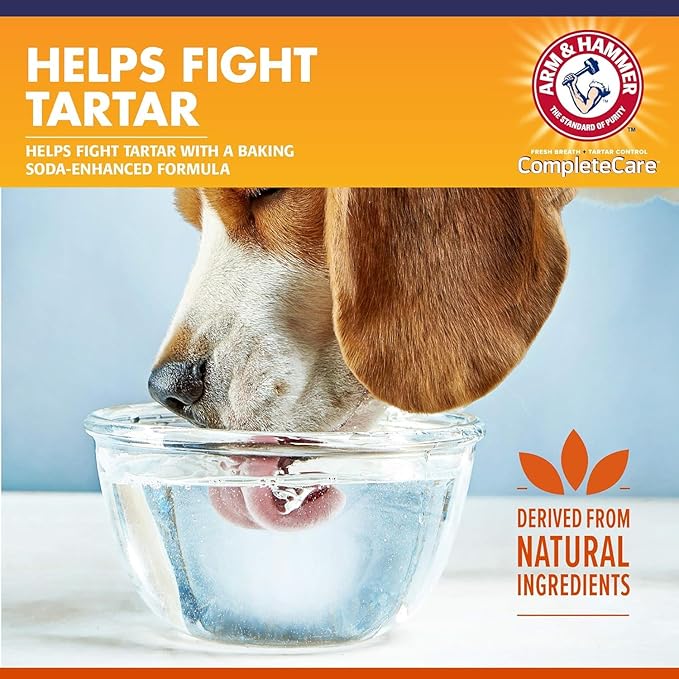 Arm & Hammer Dog Dental Water Additive Breath Freshener, Odorless Flavorless Oral Care Solution for Plaque and Tartar Control, Daily No Brush Dental Support for Dogs, 16 Fl Oz - 3 Pack