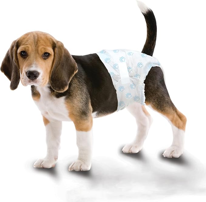Four Paws Wee-Wee Super Absorbent Disposable Adjustable Dog Potty Training Diapers, Leak-Proof Protection for Dogs, Size Medium, 15" - 18" Waist, 36 Count