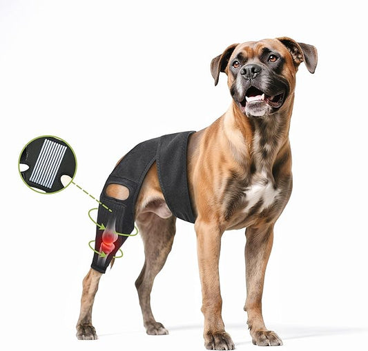 Dog Hip Brace, Knee & Leg Support Brace for ACL Recovery, Ligament Injury - Breathable & Adjustable Dog Leg Brace for Senior Dogs, Post-Surgery Rehabilitation & Mobility Aid(Size L)