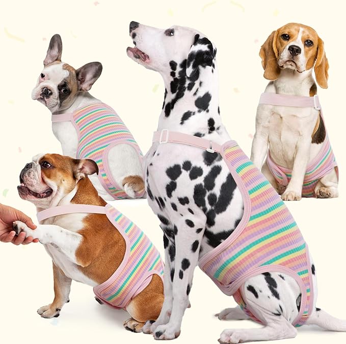 Pet Diaper Suspenders - Washable Sanitary Panties with Adjustable Straps, Female Dog Period Onesie, Breathable Jumpsuit (Rainbow Pattern, XL)