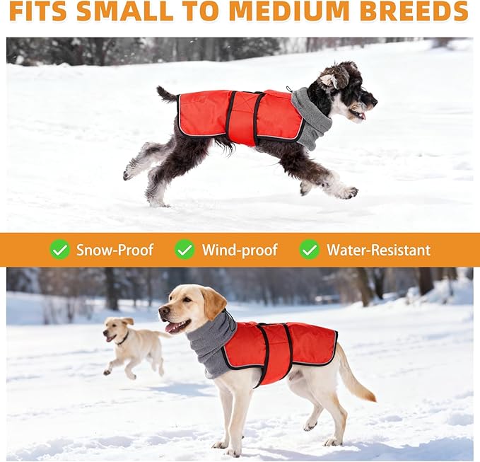KOOLTAIL Dog Snow Jacket Winter Coat for Small Medium Dogs, Waterproof&Windproof Puppy Jacket with Fleece Lining and High Collar for Cold Weather, Warm Pet Snowsuit Vest Clothes with Leash Hole, Red S
