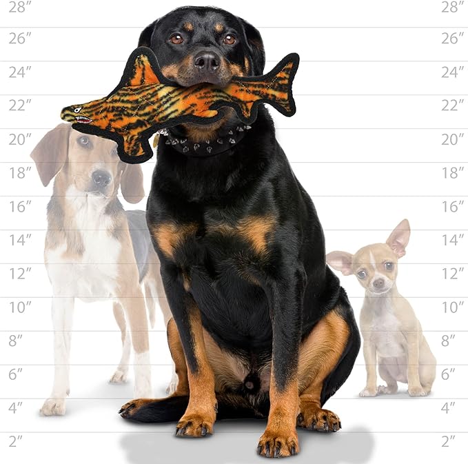 TUFFY - World's Tuffest Soft Dog Toy - Ocean- Squeakers - Multiple Layers. Made Durable, Strong & Tough. Interactive Play (Tug, Toss & Fetch). Machine Washable & Floats. (Tiger Shark, Large 2 Pack)
