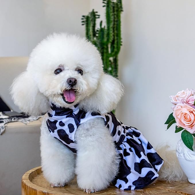 CuteBone Turtleneck Dog Velvet Dress Puppy Skirt Costume Pet Clothes Cat Apparel with Bow Hair Rope for Small Dogs CVD07S