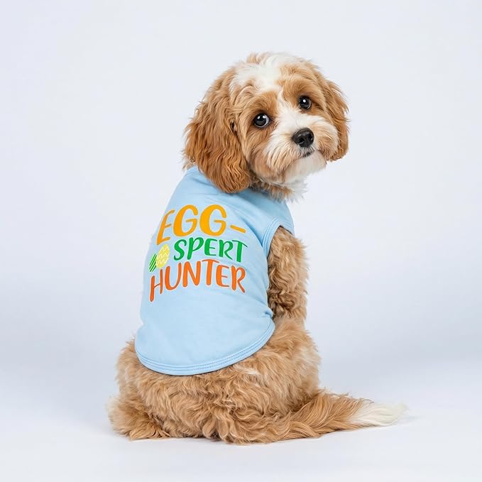 Fitwarm Egg-spert Hunter Dog Easter Outfit, Summer Clothes for Small Dogs Boy Girl, Pet Outfit, Blue, Red, Green, Orange, XXL
