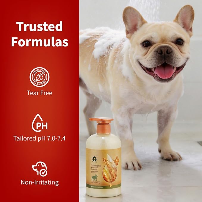 Arf Arf Odor Control Dog Shampoo with Burdock & Oatmeal - German Formula Sebum Regulator for Smelly Bulldogs & Seniors - Long-Lasting Deodorizer for Oily Coats & Itchy Skin - Fresh Scent, 16oz