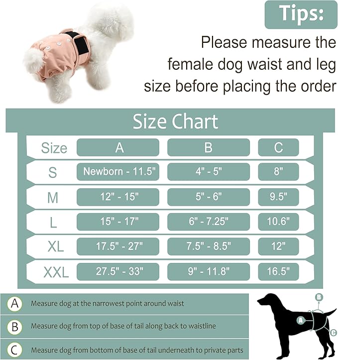 Female Dog Diapers 5Pcs - Premium Reusable Diapers for Doggie in Heat - Highly Absorbent Dog Diapers Female for Pet Incontinence with Adjustable Snaps,M