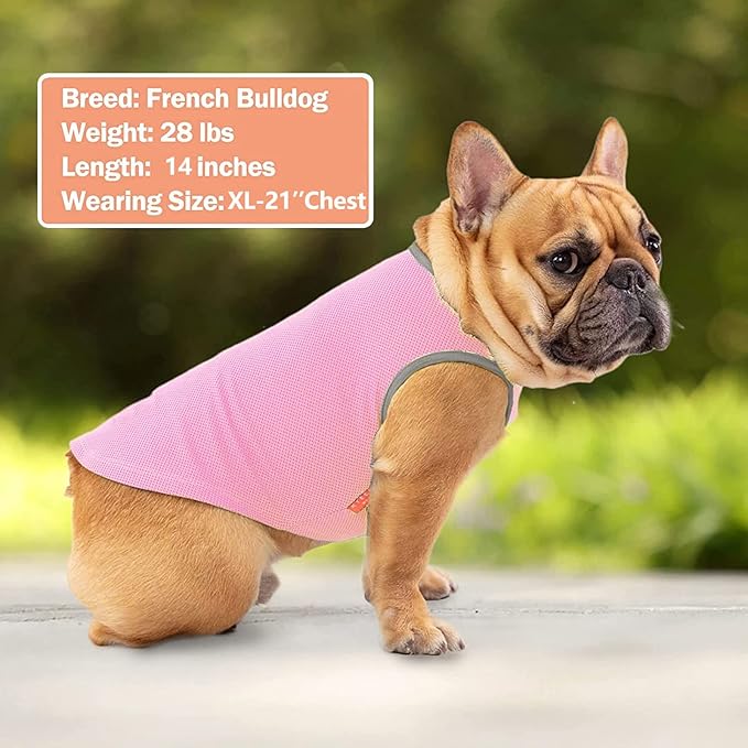 KYEESE 2Pack Dog Cooling Shirt, Breathable Dog Shirt for Medium Large Dogs, Sun Protection Dogs Cooling Vest Tank Top, Lightweight Soft Sleeveless Summer Pet Clothes, Pink+Grey, 2XL