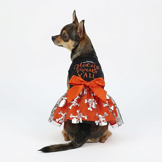 Fitwarm Hocus Pocus Y'all Funny Dog Halloween Tulle Dress, Holiday Dog Clothes for Small Dogs Girl, Funny Pirate Skull Pet Costume, Witch Cat Outfit, Orange, Black, Large