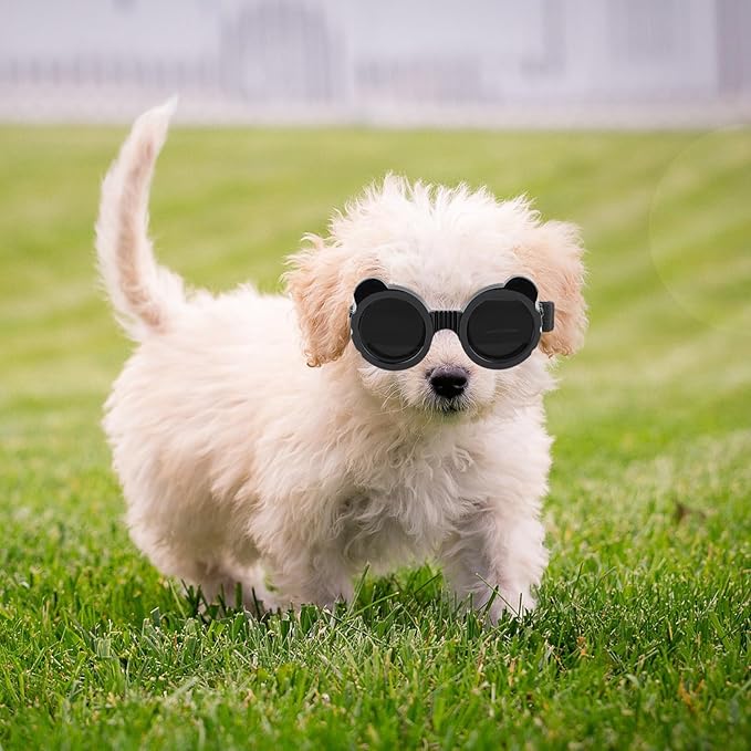 Enjoying Cat Goggles, Cat Sunglasses UV Protection, Pet Goggles for Cats XS to Small Dogs, Outdoor Kitty Puppy Eye Protection, Adjustable Straps, Black