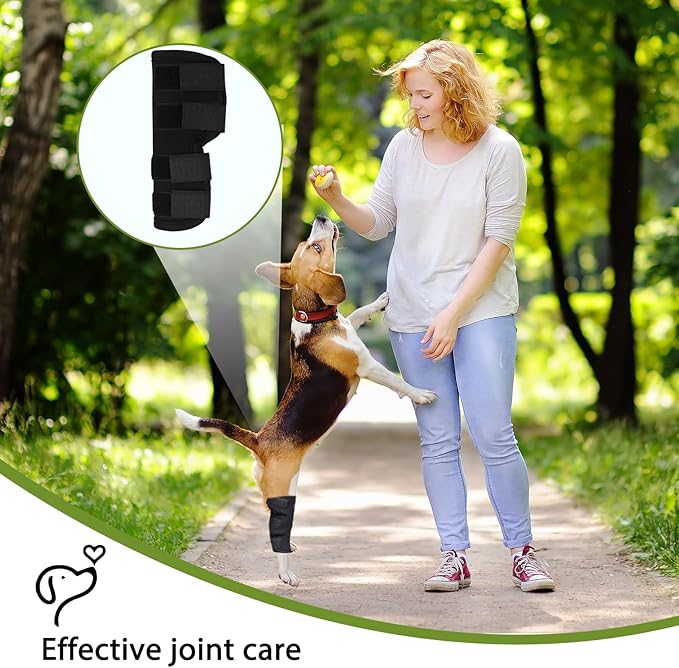 Dog Leg Braces for Rear Leg, Adjustable Dog Leg Sleeve Added Mobility Safety for Active Aging Dogs, Knee Support Straps for Outdoor Adventures Daliy Use Enhanced Stability (M)